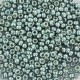 Miyuki seed beads 11/0 - Duracoat galvanized dark sea foam 11-4216